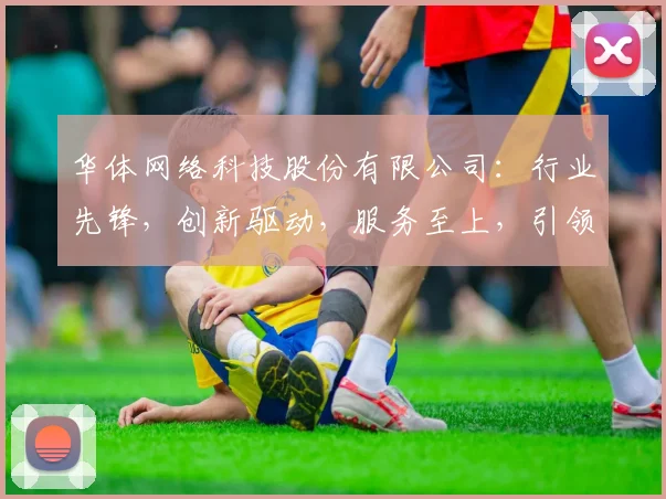 华体网络科技股份有限公司：行业先锋，创新驱动，服务至上，引领未来三步跨越