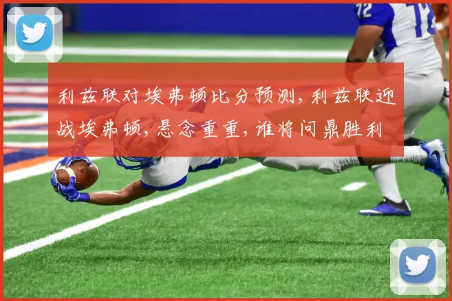 利兹联对埃弗顿比分预测,利兹联迎战埃弗顿,悬念重重,谁将问鼎胜利
